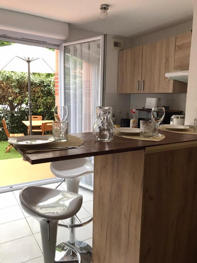 T2 Climatise Jardin & Court De Tennis/Piscine /Parking/Fibre Toulouse Eksteriør bilde
