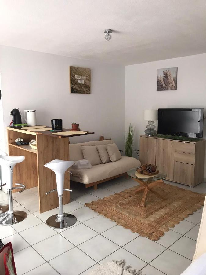 T2 Climatise Jardin & Court De Tennis/Piscine /Parking/Fibre Toulouse Eksteriør bilde